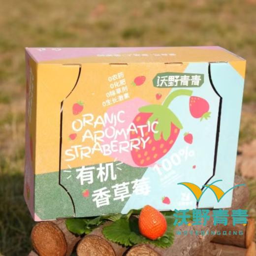 有机香草莓2.3斤【下单后3-5天发货，阴雨天顺延】 商品图4