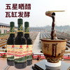 韓氏瓦缸-晒醋(五星) 500ml 商品缩略图1