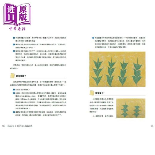 【中商原版】Ebru的心灵疗愈与美丽艺境：台湾第一本土耳其大理石纹浮水艺术专书 港台艺术原版 张蓓玲 蔡美玲 布克文化 商品图4