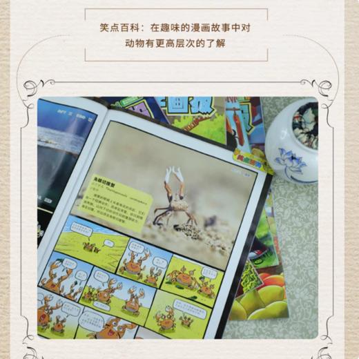 少年科学画报 2023年/2024年 全年过刊 商品图2