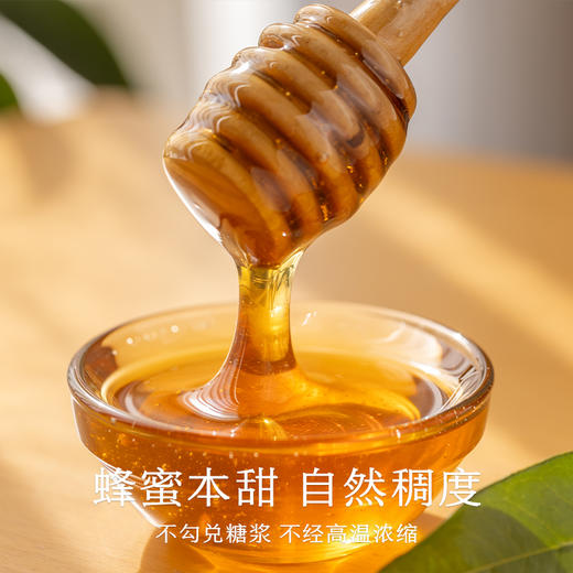 南食召 本真龙眼蜜 商品图4
