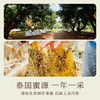 南食召 本真龙眼蜜 商品缩略图3