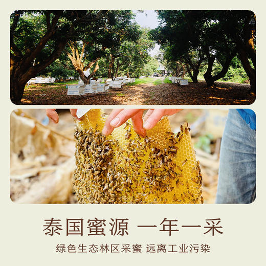 南食召 本真龙眼蜜 商品图3