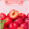 新鲜水果  香甜爽口珠宝李 500g 商品缩略图2