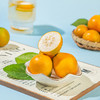 新鲜水果 细腻爆汁脆蜜金柑 360g/份 商品缩略图3