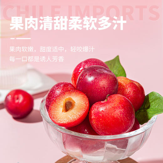 新鲜水果  香甜爽口珠宝李 500g 商品图3