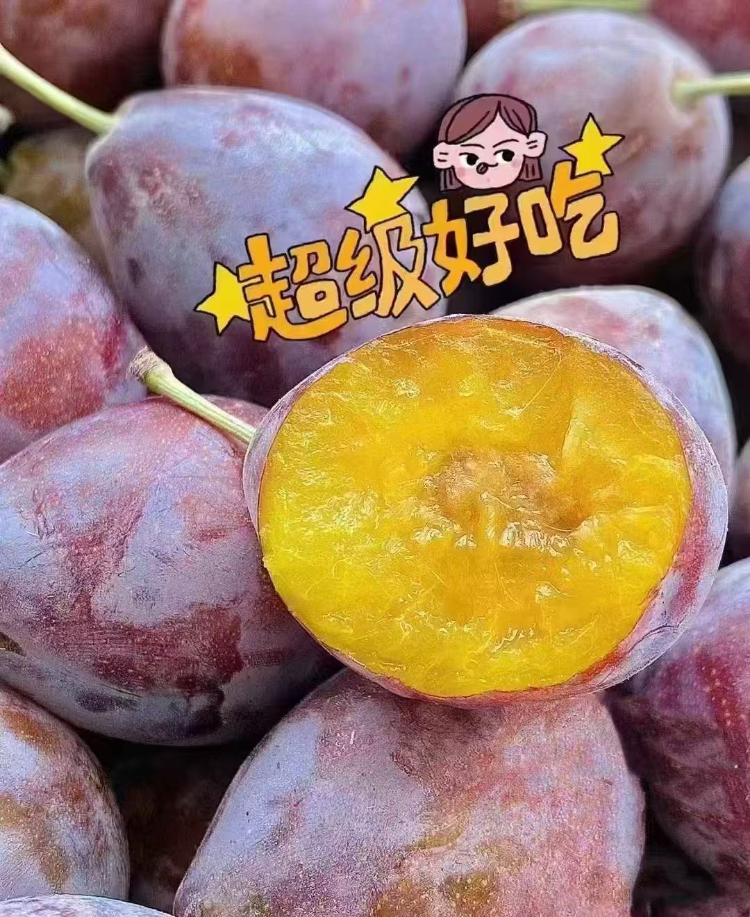 水果 澳洲西梅 进口西梅ppp