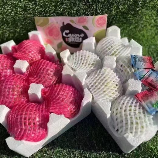 奶油芭乐 树熟采摘更软糯更香甜 商品图11