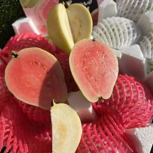 奶油芭乐+红心芭乐 树熟采摘更软糯更香甜 商品图4