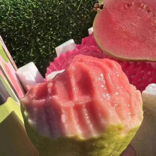 奶油芭乐+红心芭乐 树熟采摘更软糯更香甜 商品图7