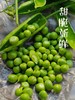 云南高原甜脆豌豆3斤（下单后1-3天左右排单发货） 商品缩略图3