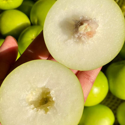 【苹果枣】云南西双版纳蜜罐苹果枣 / 清甜脆嫩多汁爽口/现摘现发包邮 商品图4