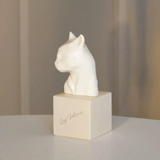 猫科动物遮瑕服贴奶油肌粉底液FF02燕麦色30g 商品图0