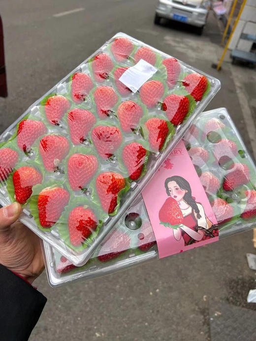 【新年钜惠】13.9元 丹东草莓（24颗） 商品图1