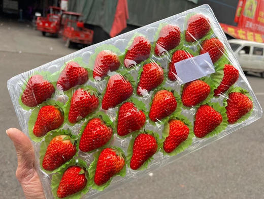 【新年钜惠】13.9元 丹东草莓（24颗） 商品图2