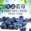 大凉山生态蓝莓 商品缩略图0