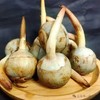 【生鲜预定】茨菇 商品缩略图0