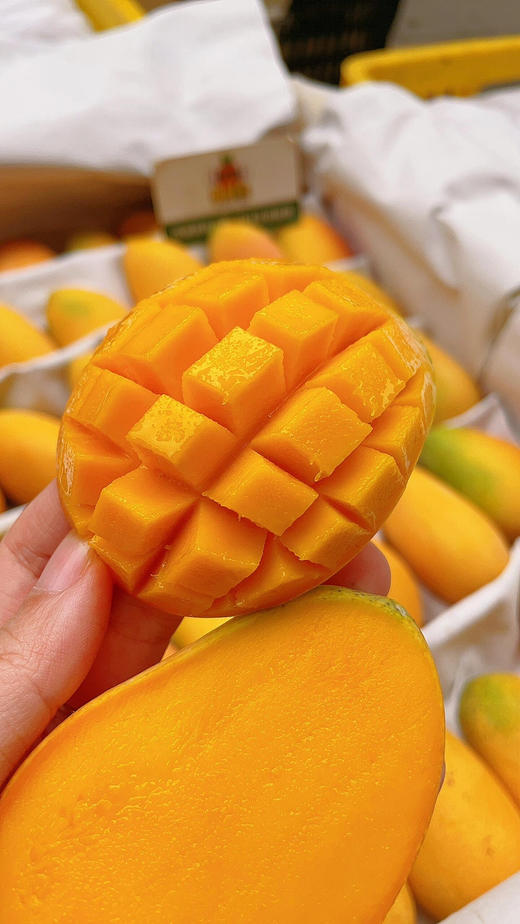 小台芒（小盒） 商品图2