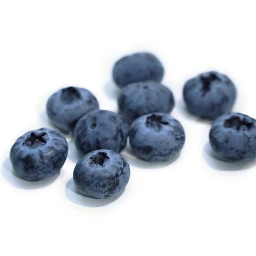 大凉山生态蓝莓 商品图1