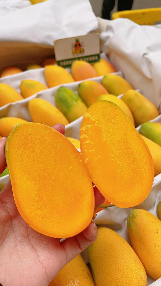 小台芒（小盒） 商品图3