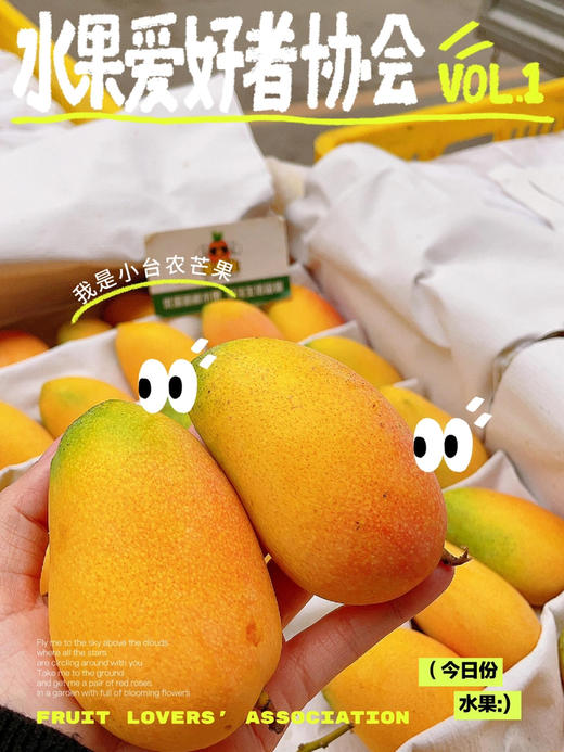 小台芒（小盒） 商品图4