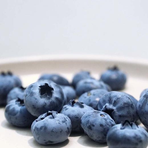 大凉山生态蓝莓 商品图3