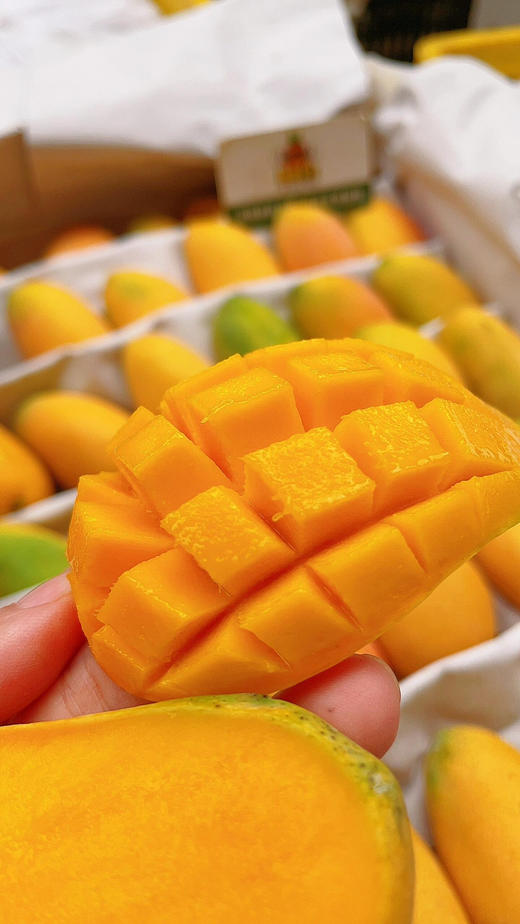 小台芒（小盒） 商品图5