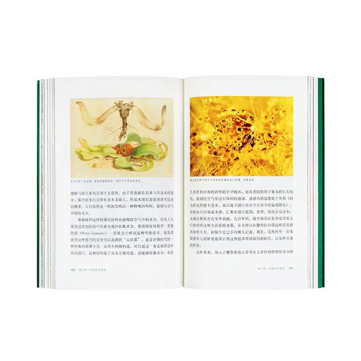 读库植物智能套装《它们没有脚，但足迹遍天下：不可思议的植物扩张史》 《失敬，植物先生：它们很古老，其实它们很先进》《它们没大脑，但它们有智能： 植物智能的认识史》（意）斯特凡诺·曼库索 著 商品图5