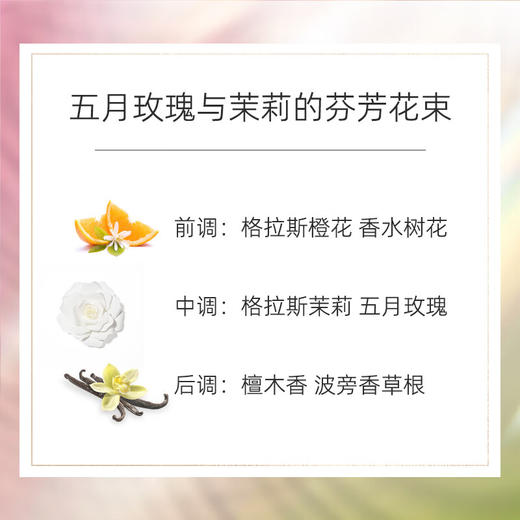 【航免仓】Chanel香奈儿五号浓香水女士持久经典款50ml 商品图1