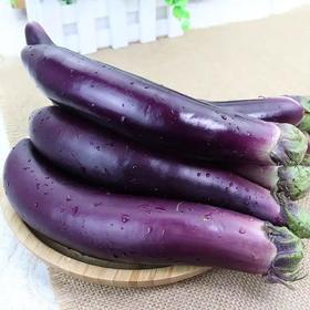 【生鲜预定】紫茄子