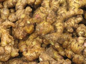 【生鲜预定】小黄姜