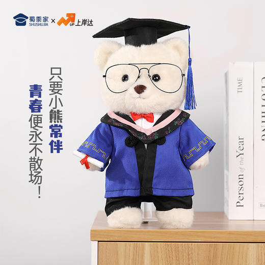 【毕业熊】可定制创意毛绒公仔玩具 礼盒装小熊玩偶送礼摆件 商品图6