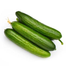 【生鲜预定】小黄瓜