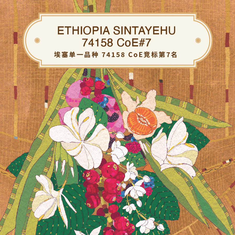 埃塞單一品種74158 CoE競標第7名