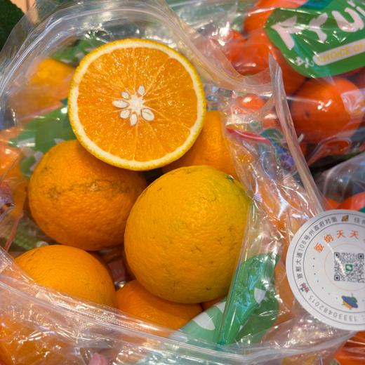 付氏脐橙 赣南脐橙 橙子 汁水多 商品图7