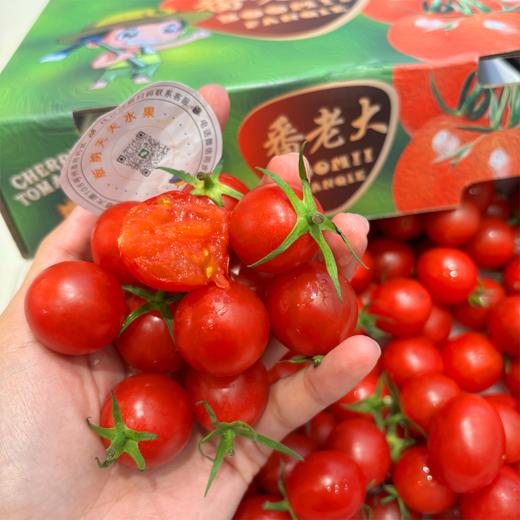 蕃老大红千禧小番茄 商品图10