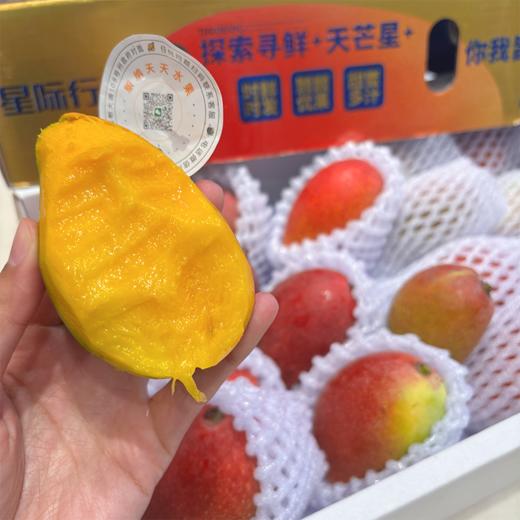 海南空运贵妃芒 芒果 甜 芒果味浓郁 商品图6