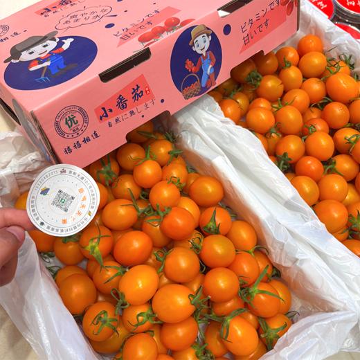 香芒皇后黄千禧 爆汁高糖小番茄 商品图7