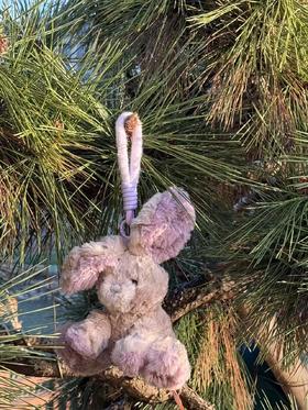 Meet-Edinburgh |大耳野兔