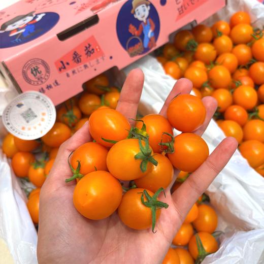 香芒皇后黄千禧 爆汁高糖小番茄 商品图11