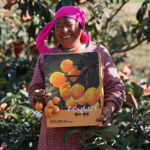 【大理鸡足山老树枇杷】五星枇杷/20多年老树/原生态种植 无膨大剂无催熟剂等等/果味香浓 小时候的味道/现摘现发 顺丰包邮 商品图10