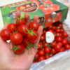 红千禧小番茄 商品缩略图4