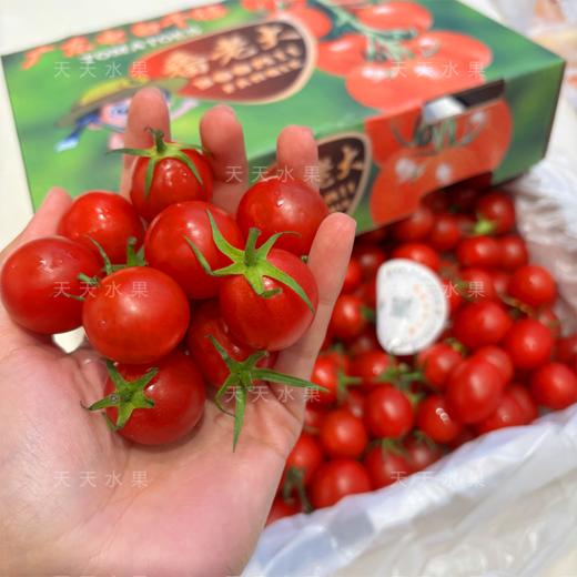 红千禧小番茄 商品图4