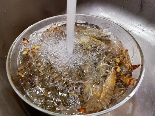 【周六到】鲜活充氧基围虾 250-300克/箱 到家后存活率70%左右 商品图1