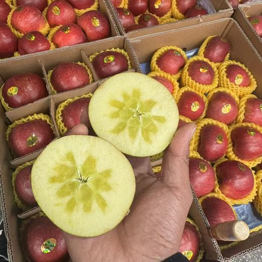 昭通糖心苹果 脆甜多汁 商品图12