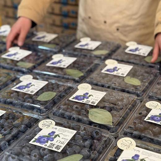 云南「花香脆蓝莓」大果18mm➕ 1kg 商品图4