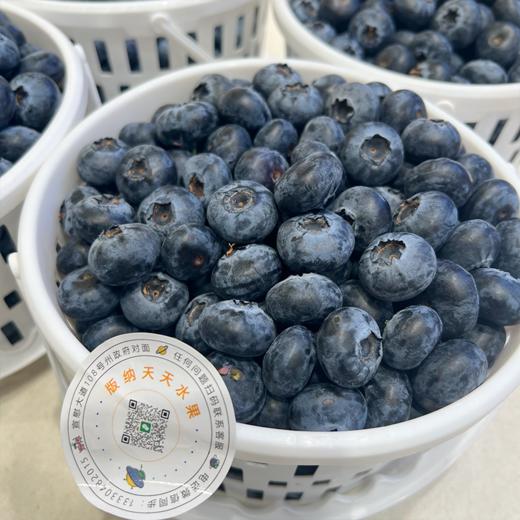 花香蓝莓 15+中果 商品图7