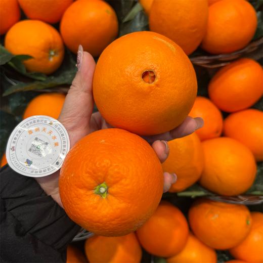 夏橙 甜蜜爆汁 新鲜橙子 商品图6