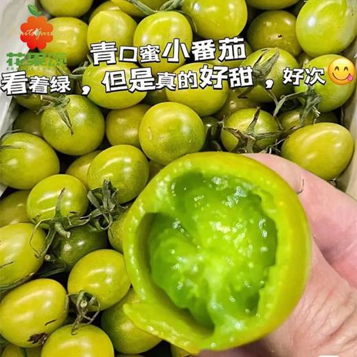 【强烈推荐】青口蜜小番茄 约250g-500g 商品图0