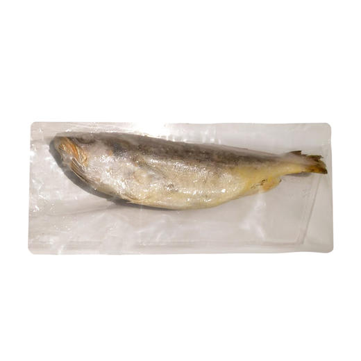 【野生海产】野生黄花鱼600±100g 大西洋纯净海域 商品图4